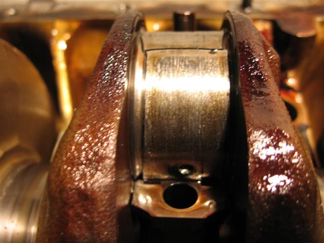 Name:  IMG_8746Small.jpg
Views: 20
Size:  40.9 KB