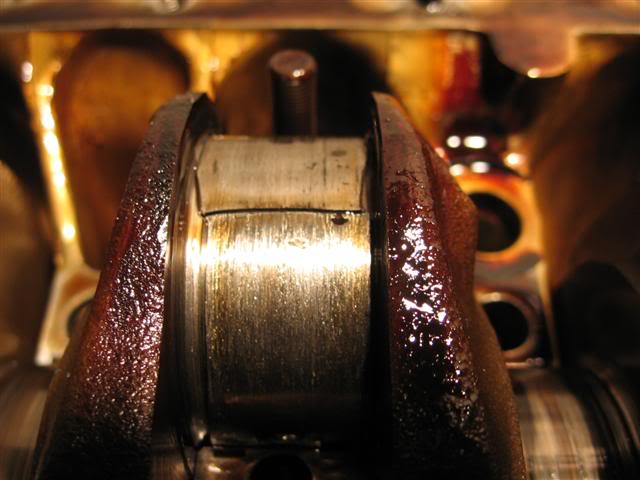 Name:  IMG_8747Small.jpg
Views: 20
Size:  40.4 KB