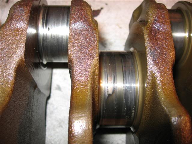 Name:  IMG_8752Small.jpg
Views: 21
Size:  51.2 KB