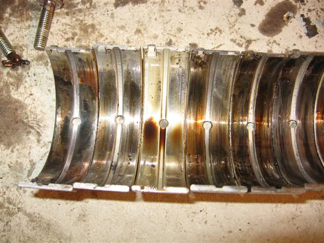 Name:  IMG_8761Small.jpg
Views: 49
Size:  60.8 KB