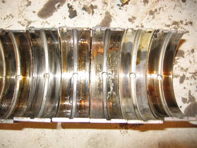 Name:  IMG_8762Small.jpg
Views: 18
Size:  61.3 KB