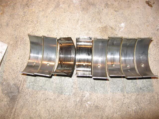 Name:  IMG_8765Small.jpg
Views: 22
Size:  57.3 KB