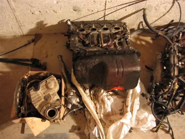 Name:  IMG_8705Small.jpg
Views: 22
Size:  51.1 KB