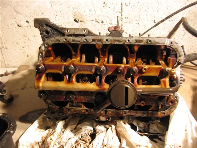 Name:  IMG_8714Small.jpg
Views: 21
Size:  57.5 KB