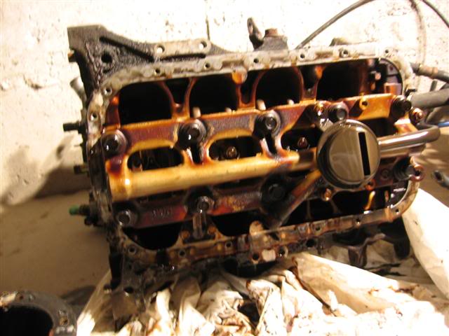 Name:  IMG_8716Small.jpg
Views: 20
Size:  48.4 KB