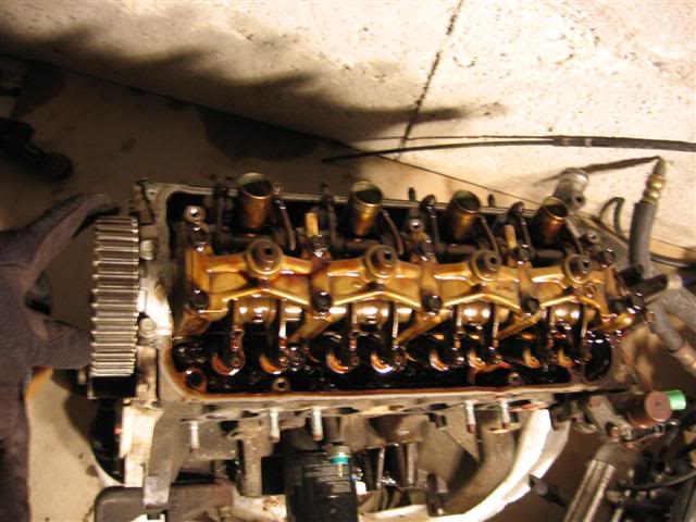 Name:  IMG_8717Small.jpg
Views: 19
Size:  52.0 KB