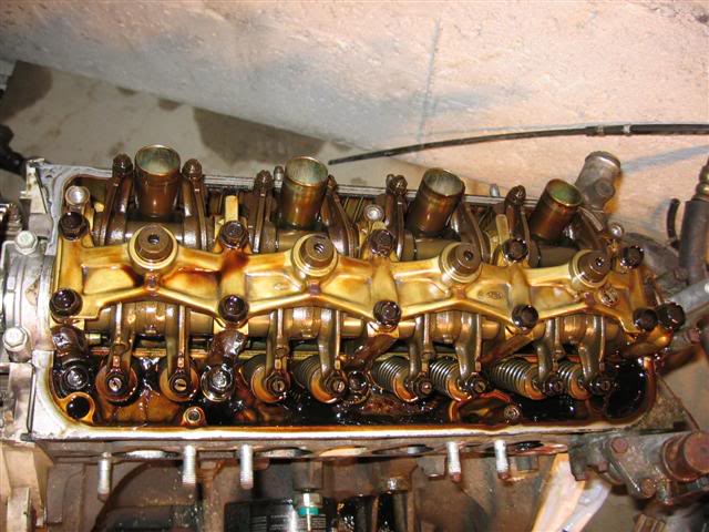 Name:  IMG_8719Small.jpg
Views: 21
Size:  63.0 KB