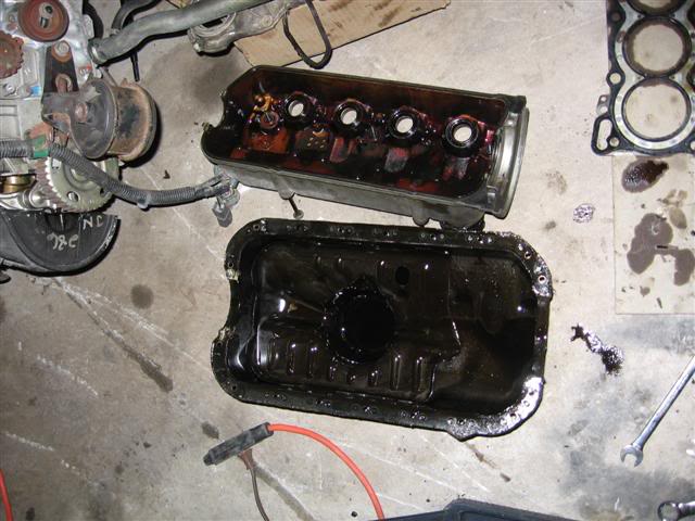 Name:  IMG_8814Small.jpg
Views: 22
Size:  55.7 KB