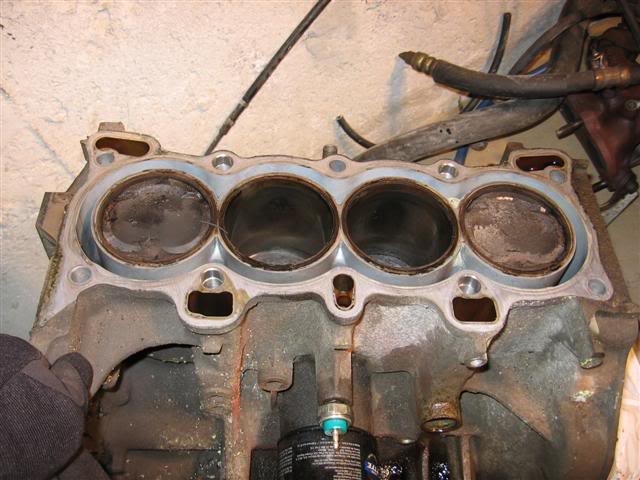 Name:  IMG_8720Small.jpg
Views: 20
Size:  53.6 KB