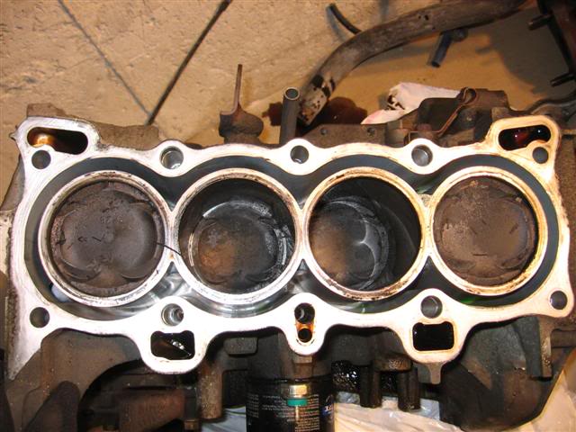 Name:  IMG_8722Small.jpg
Views: 18
Size:  57.6 KB