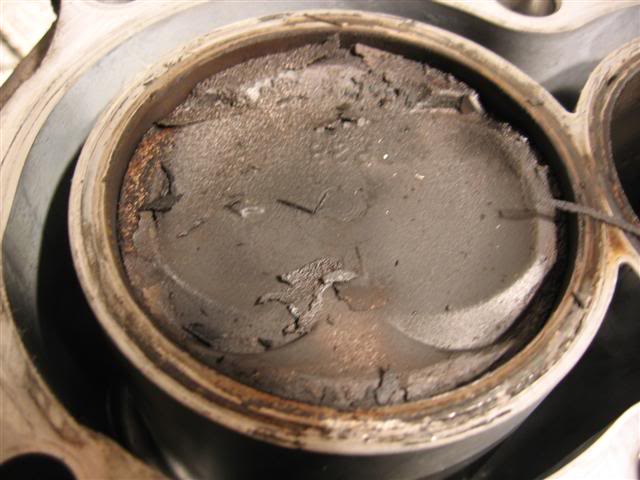 Name:  IMG_8723Small.jpg
Views: 19
Size:  43.7 KB