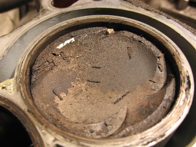 Name:  IMG_8726Small.jpg
Views: 19
Size:  53.0 KB