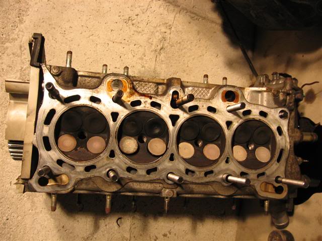 Name:  IMG_8727Small.jpg
Views: 20
Size:  55.2 KB