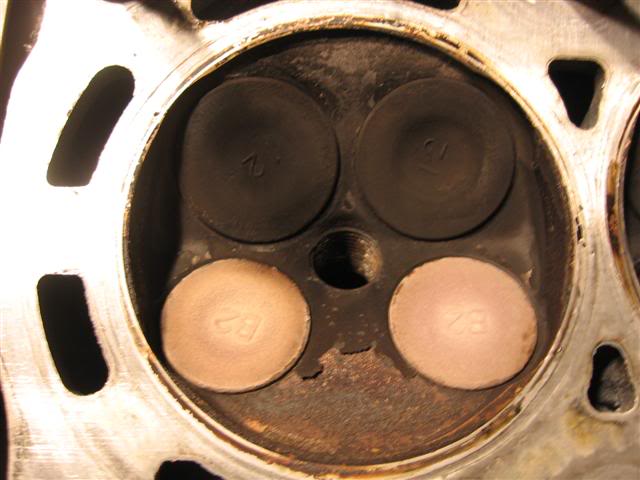 Name:  IMG_8730Small.jpg
Views: 20
Size:  40.4 KB