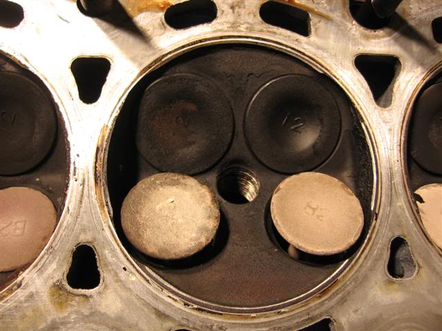 Name:  IMG_8731Small.jpg
Views: 19
Size:  51.6 KB