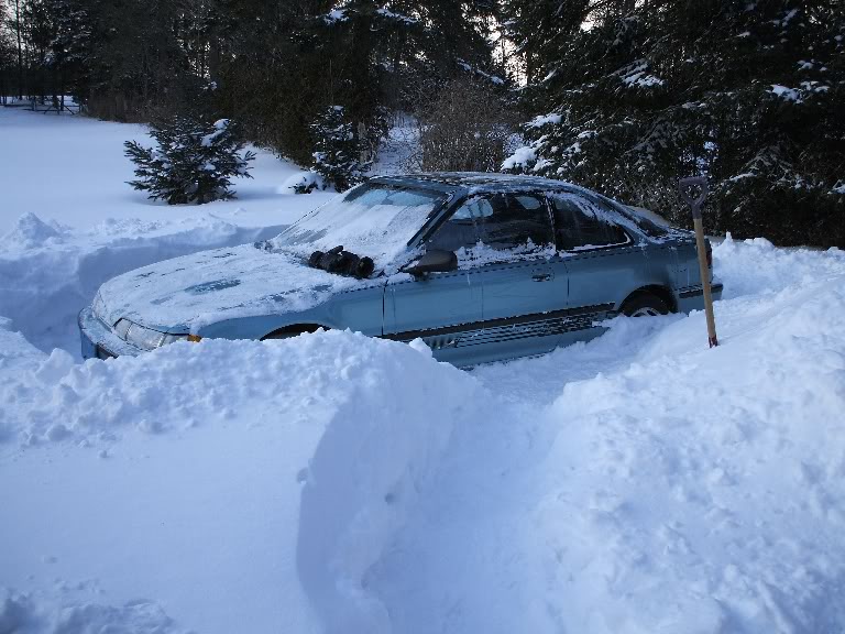 Name:  tegresized.jpg
Views: 13
Size:  96.3 KB