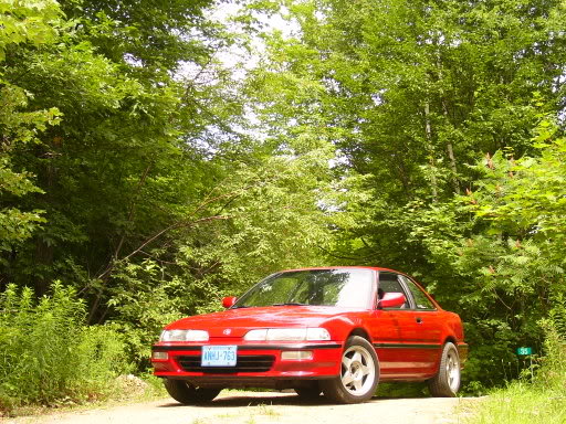 Name:  P1010875.jpg
Views: 35
Size:  86.1 KB