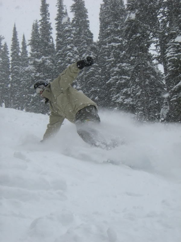 Name:  IMG_0303.jpg
Views: 17
Size:  77.3 KB