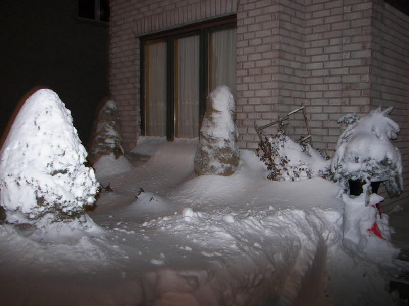 Name:  snow-02-14-07007.jpg
Views: 15
Size:  72.2 KB