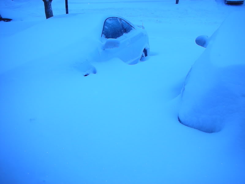 Name:  DSCN0444.jpg
Views: 17
Size:  24.1 KB