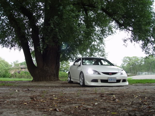 Name: DSC01270.jpg
Views: 26
Size: 104.0 KB