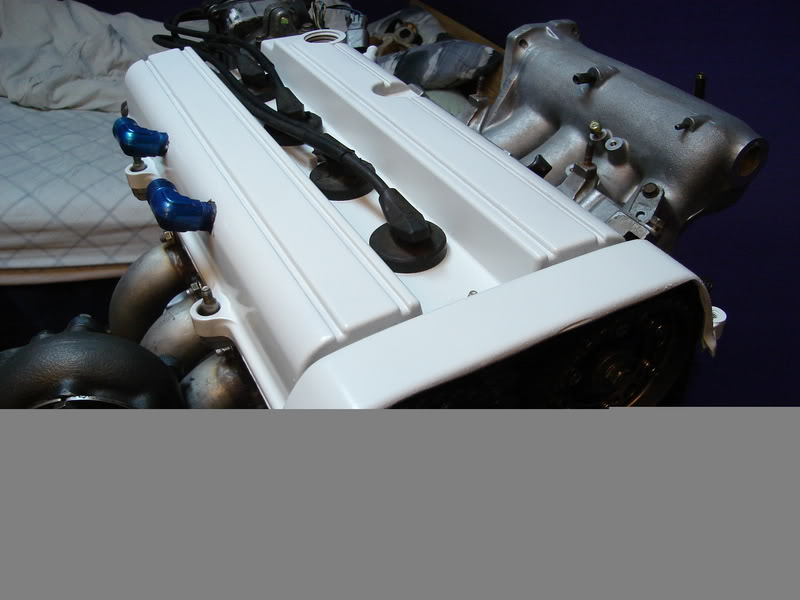 Name:  DSC00039-1.jpg
Views: 16
Size:  52.8 KB