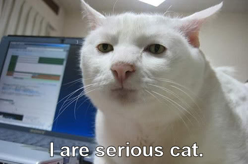 Name:  formyspaceyah.jpg
Views: 17
Size:  27.9 KB