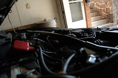 Name: DSC_0033.jpg
Views: 25
Size: 22.5 KB