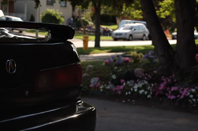 Name:  DSC_0080.jpg
Views: 18
Size:  19.5 KB