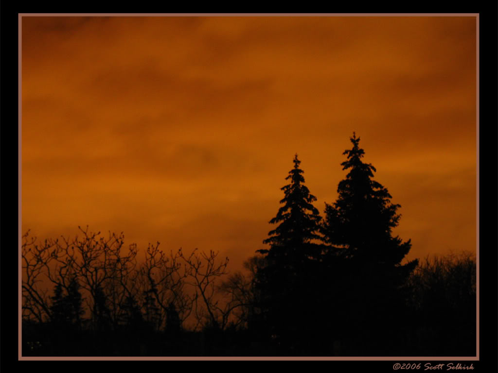 Name:  IntotheNightweb.jpg
Views: 21
Size:  65.5 KB