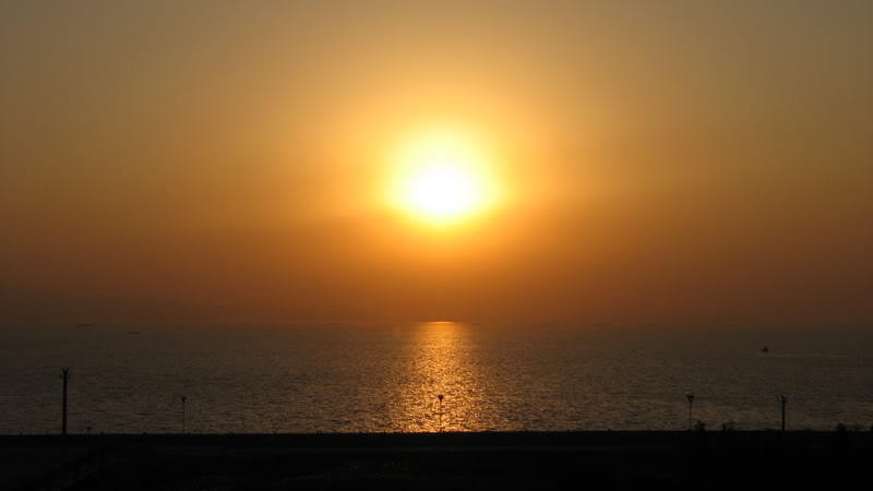 Name:  IMG_1664.jpg
Views: 20
Size:  25.6 KB