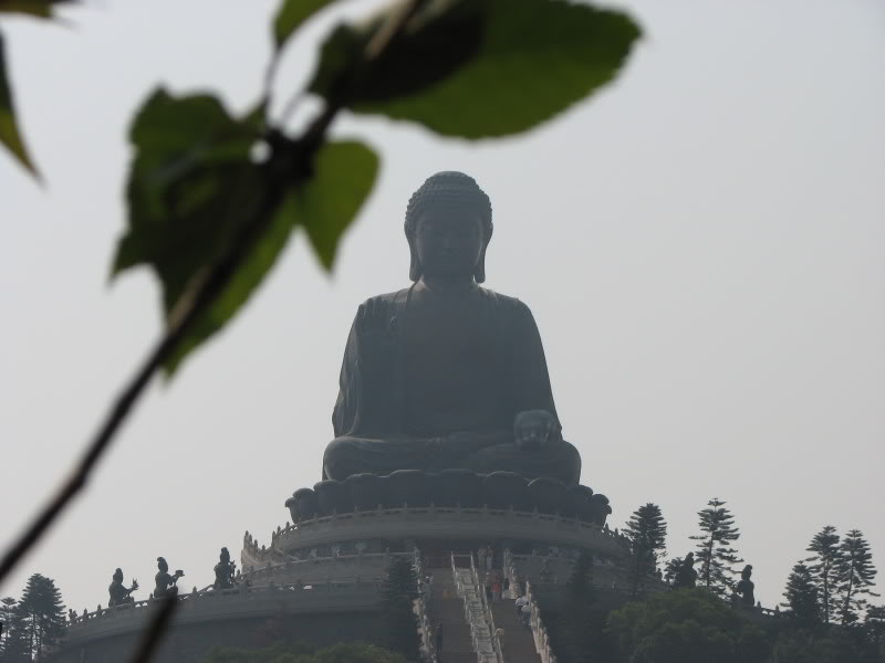 Name:  IMG_1906.jpg
Views: 18
Size:  38.4 KB