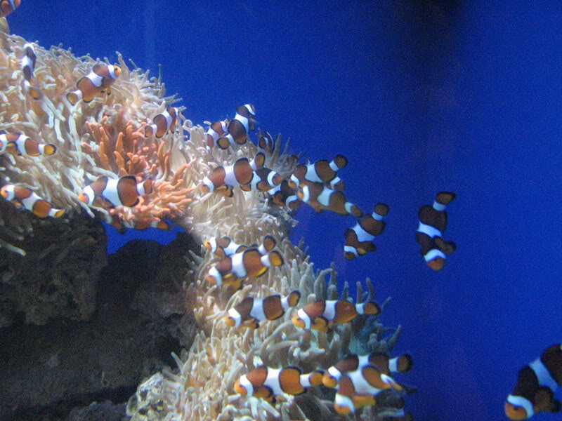 Name:  IMG_0385.jpg
Views: 21
Size:  113.7 KB