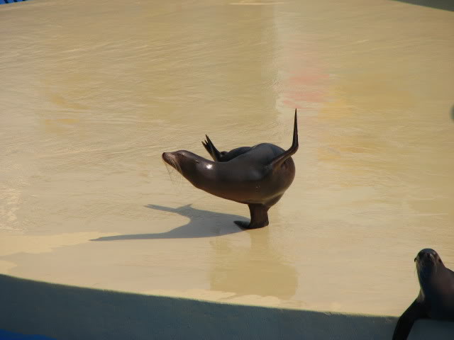 Name:  IMG_0436.jpg
Views: 21
Size:  28.7 KB