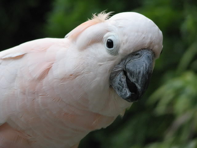 Name:  IMG_0549.jpg
Views: 21
Size:  39.0 KB