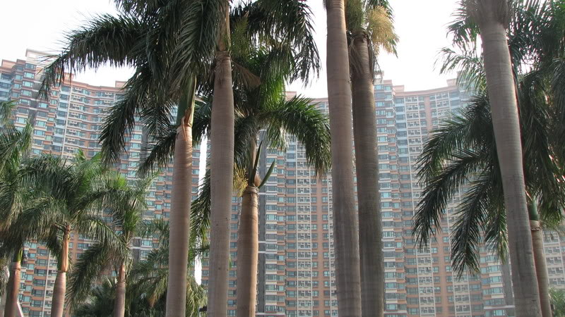 Name:  IMG_0623.jpg
Views: 18
Size:  120.3 KB