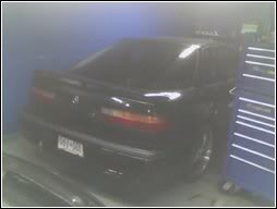 Name:  bobsteg.jpg
Views: 23
Size:  6.5 KB