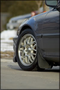 Name:  DSC_8476.jpg
Views: 22
Size:  12.9 KB