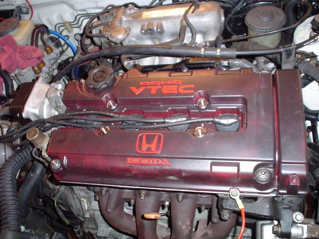 Name:  DSC00357-1.jpg
Views: 14
Size:  146.8 KB