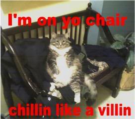 Name:  cat.jpg
Views: 17
Size:  12.2 KB