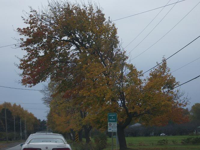 Name:  IMGP0509.jpg
Views: 11
Size:  92.9 KB