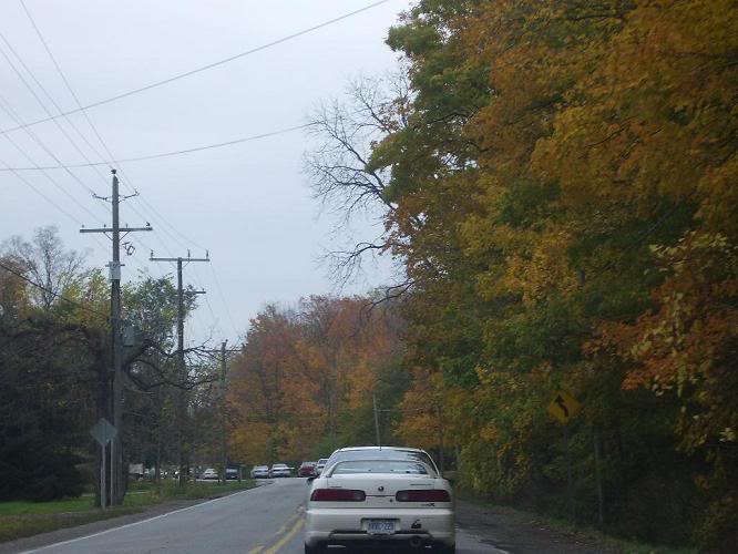 Name:  IMGP0517.jpg
Views: 12
Size:  80.6 KB