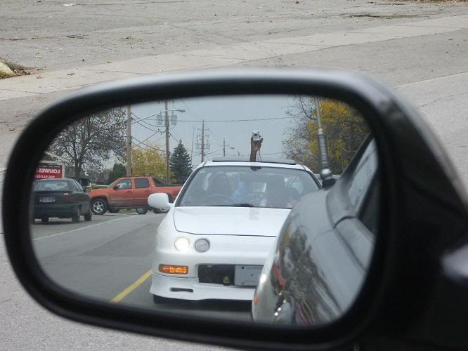 Name:  IMGP0528.jpg
Views: 11
Size:  71.4 KB