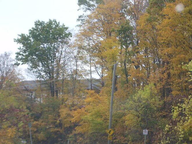 Name:  IMGP0535.jpg
Views: 11
Size:  111.8 KB