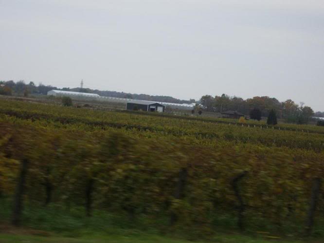 Name:  IMGP0536.jpg
Views: 11
Size:  54.5 KB