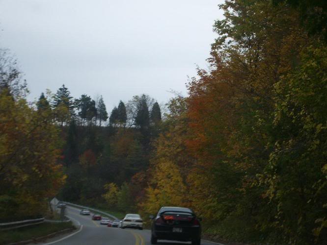 Name:  IMGP0540.jpg
Views: 9
Size:  69.8 KB