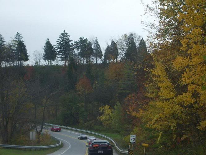 Name:  IMGP0541.jpg
Views: 10
Size:  84.0 KB