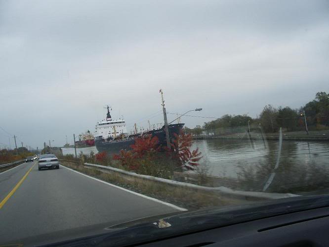 Name:  IMGP0550.jpg
Views: 8
Size:  57.1 KB