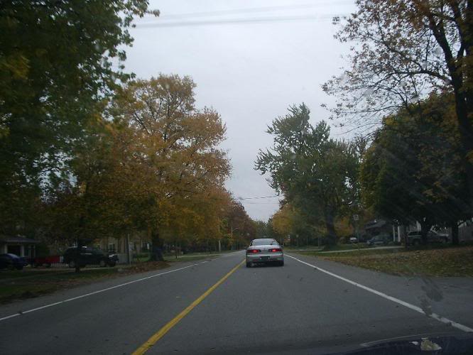 Name:  IMGP0557.jpg
Views: 10
Size:  83.0 KB