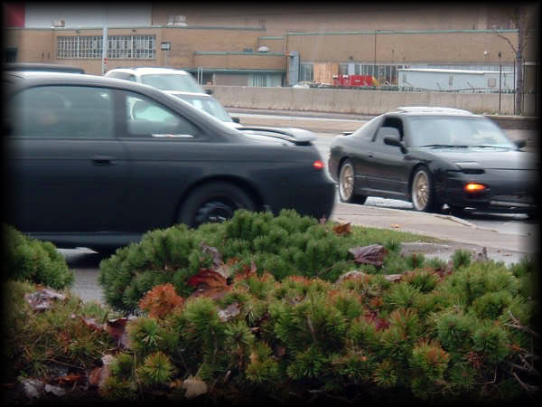 Name: Picture038.jpg
Views: 11
Size: 47.0 KB